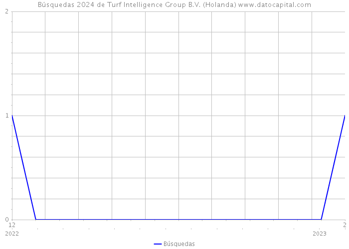 Búsquedas 2024 de Turf Intelligence Group B.V. (Holanda) 