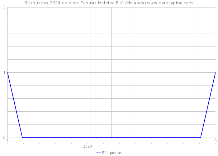Búsquedas 2024 de Vitae Futurae Holding B.V. (Holanda) 