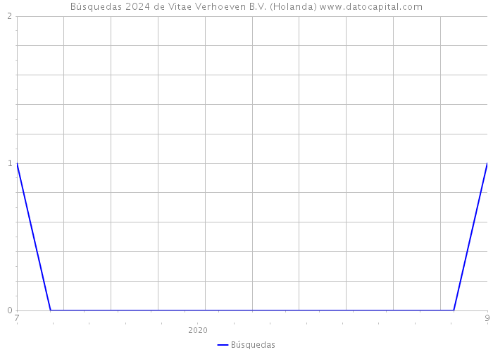 Búsquedas 2024 de Vitae Verhoeven B.V. (Holanda) 