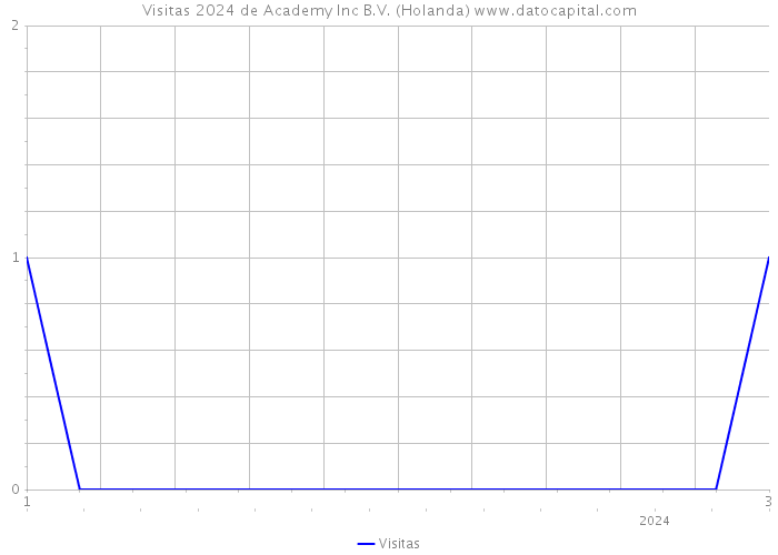 Visitas 2024 de Academy Inc B.V. (Holanda) 