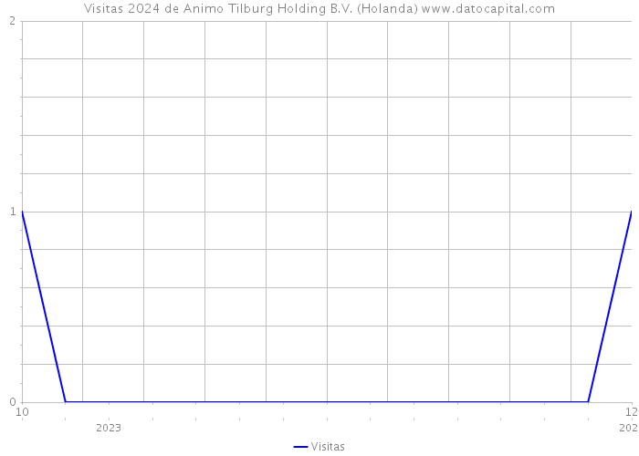 Visitas 2024 de Animo Tilburg Holding B.V. (Holanda) 