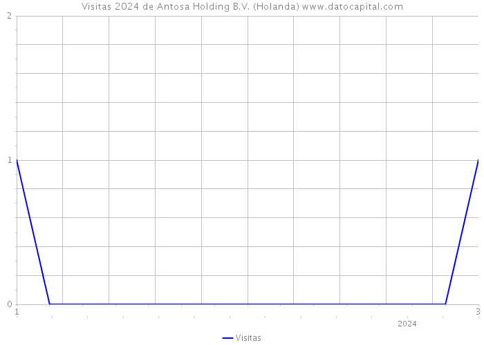 Visitas 2024 de Antosa Holding B.V. (Holanda) 