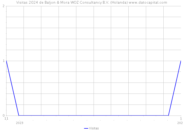 Visitas 2024 de Baljon & Mora WOZ Consultancy B.V. (Holanda) 