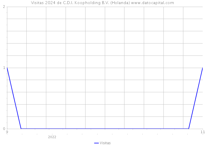 Visitas 2024 de C.D.I. Koopholding B.V. (Holanda) 