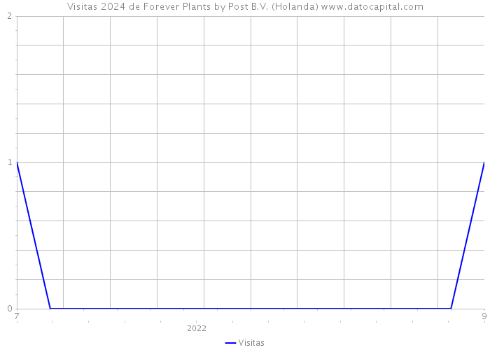 Visitas 2024 de Forever Plants by Post B.V. (Holanda) 