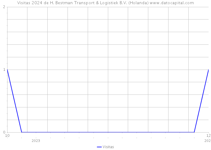 Visitas 2024 de H. Bestman Transport & Logistiek B.V. (Holanda) 