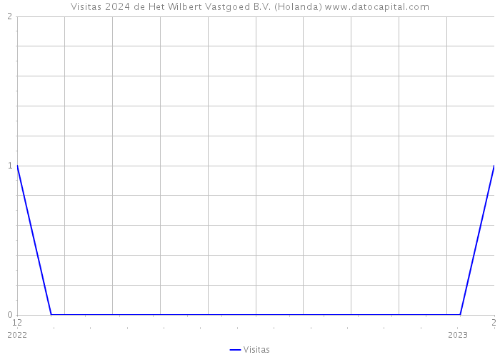 Visitas 2024 de Het Wilbert Vastgoed B.V. (Holanda) 