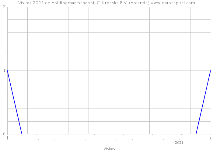 Visitas 2024 de Holdingmaatschappij C. Kroeske B.V. (Holanda) 