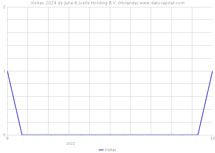 Visitas 2024 de Julia & Joelle Holding B.V. (Holanda) 