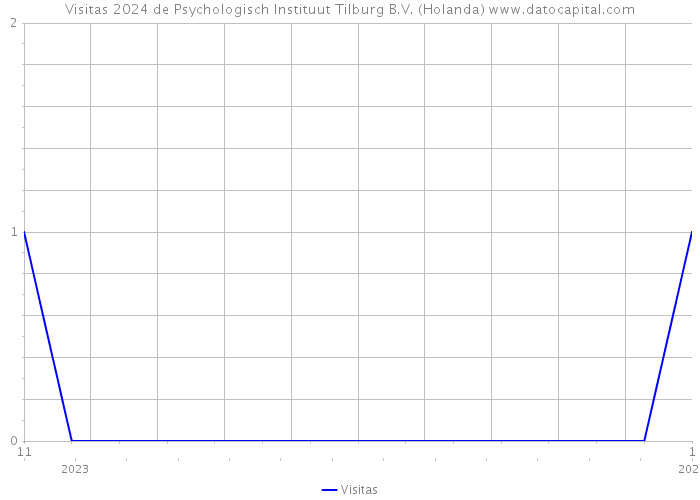 Visitas 2024 de Psychologisch Instituut Tilburg B.V. (Holanda) 