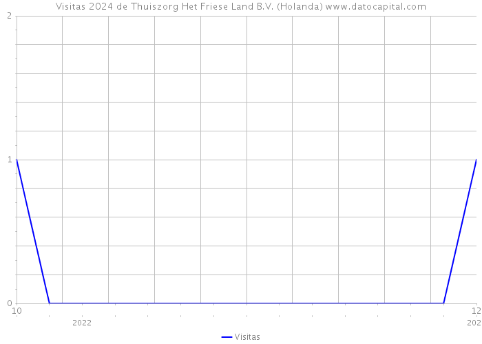 Visitas 2024 de Thuiszorg Het Friese Land B.V. (Holanda) 