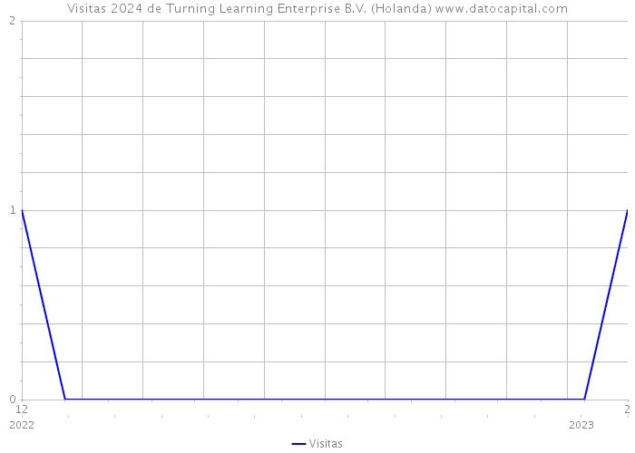 Visitas 2024 de Turning Learning Enterprise B.V. (Holanda) 