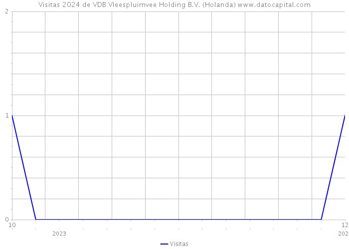 Visitas 2024 de VDB Vleespluimvee Holding B.V. (Holanda) 