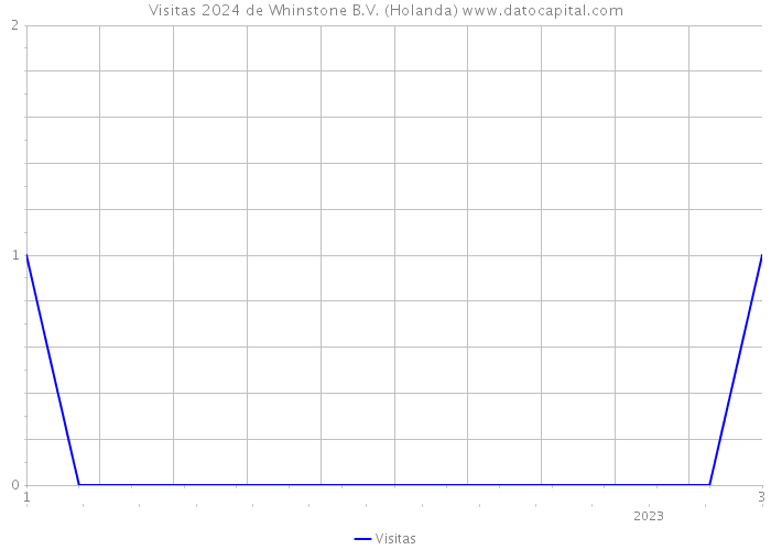 Visitas 2024 de Whinstone B.V. (Holanda) 