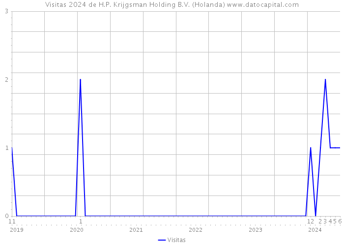 Visitas 2024 de H.P. Krijgsman Holding B.V. (Holanda) 
