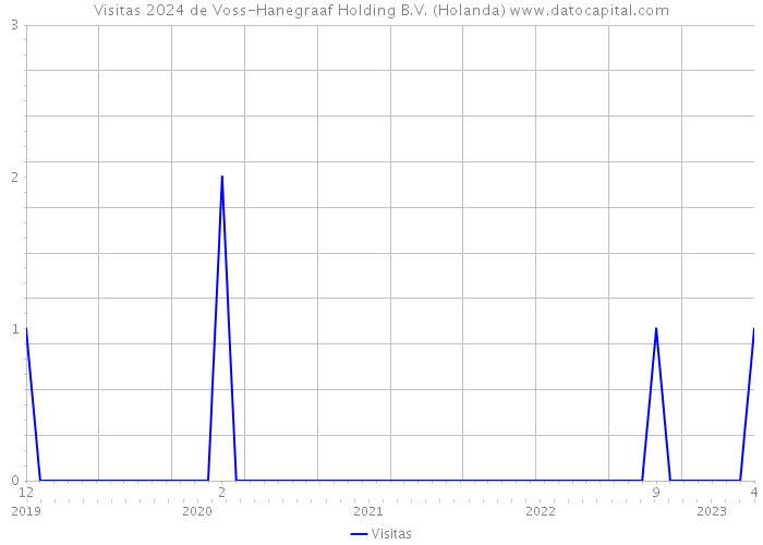 Visitas 2024 de Voss-Hanegraaf Holding B.V. (Holanda) 