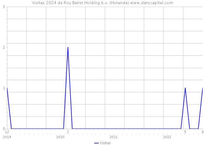 Visitas 2024 de Roy Batist Holding b.v. (Holanda) 