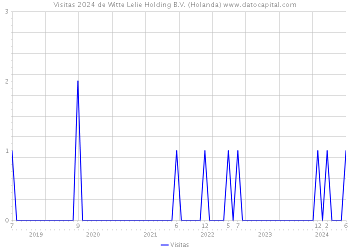 Visitas 2024 de Witte Lelie Holding B.V. (Holanda) 