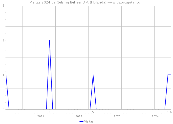 Visitas 2024 de Gelsing Beheer B.V. (Holanda) 