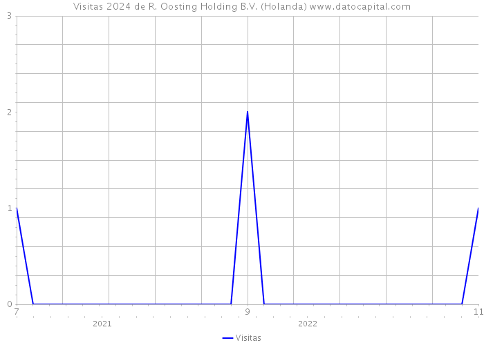 Visitas 2024 de R. Oosting Holding B.V. (Holanda) 