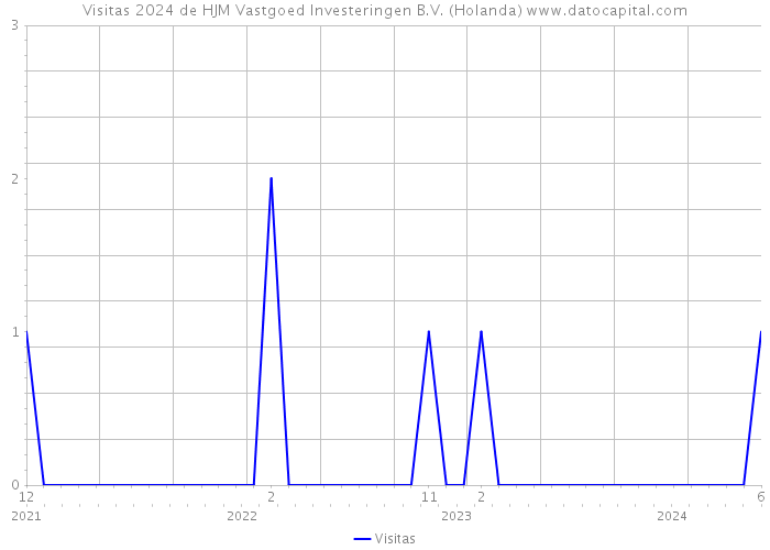 Visitas 2024 de HJM Vastgoed Investeringen B.V. (Holanda) 