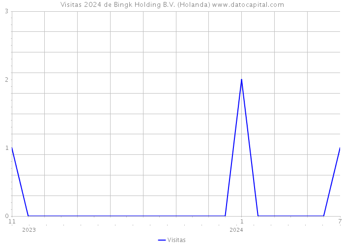 Visitas 2024 de Bingk Holding B.V. (Holanda) 