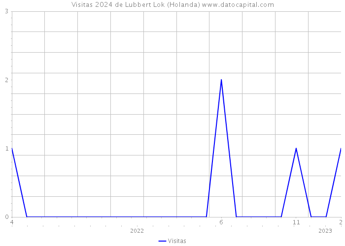 Visitas 2024 de Lubbert Lok (Holanda) 