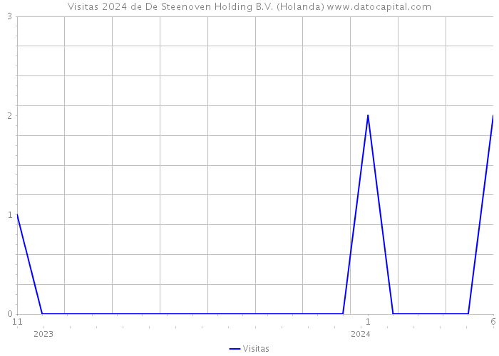 Visitas 2024 de De Steenoven Holding B.V. (Holanda) 