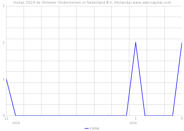 Visitas 2024 de Slimmer Ondernemen in Nederland B.V. (Holanda) 