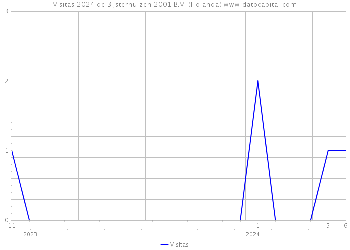 Visitas 2024 de Bijsterhuizen 2001 B.V. (Holanda) 