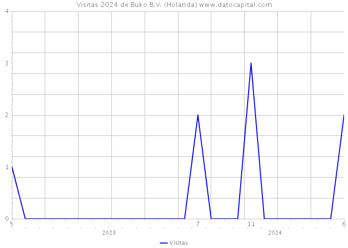 Visitas 2024 de Buko B.V. (Holanda) 