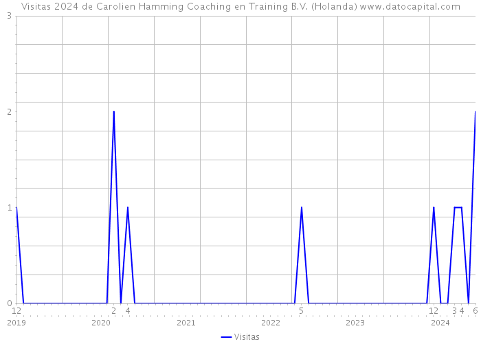 Visitas 2024 de Carolien Hamming Coaching en Training B.V. (Holanda) 