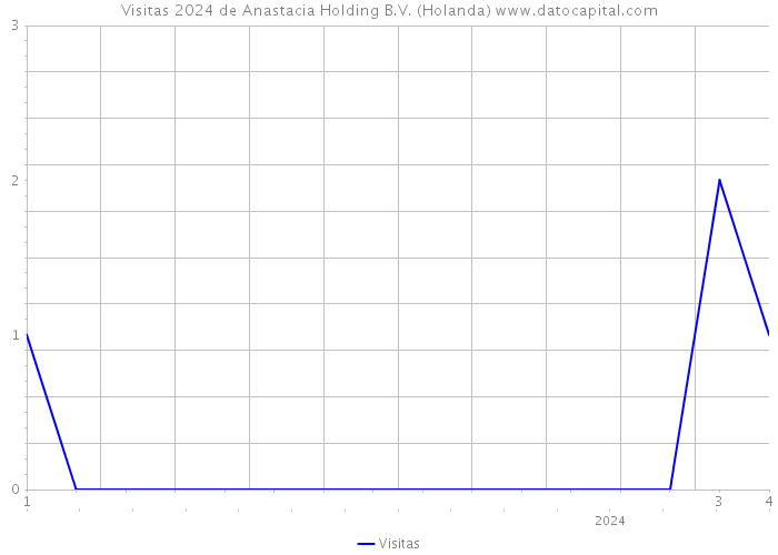 Visitas 2024 de Anastacia Holding B.V. (Holanda) 
