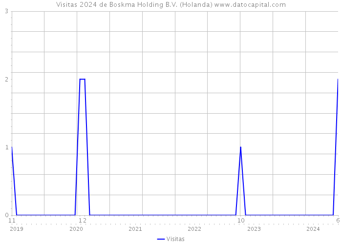 Visitas 2024 de Boskma Holding B.V. (Holanda) 