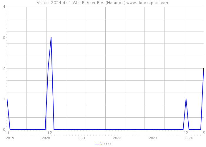 Visitas 2024 de 1 Wiel Beheer B.V. (Holanda) 