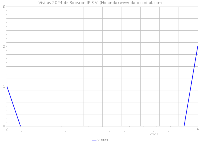 Visitas 2024 de Booston IP B.V. (Holanda) 