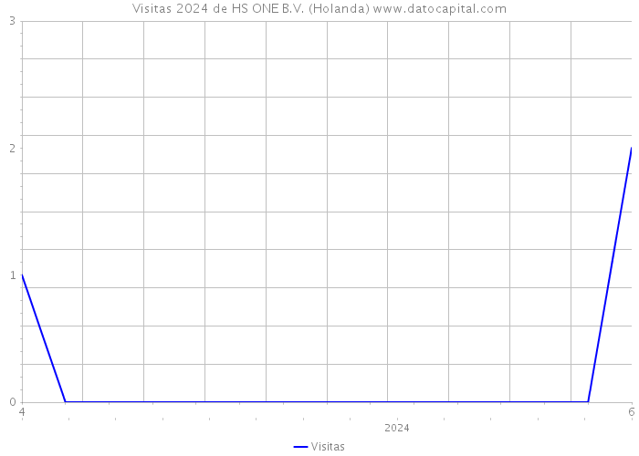 Visitas 2024 de HS ONE B.V. (Holanda) 