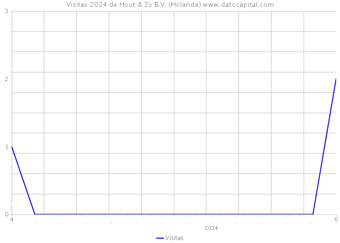 Visitas 2024 de Hout & Zo B.V. (Holanda) 