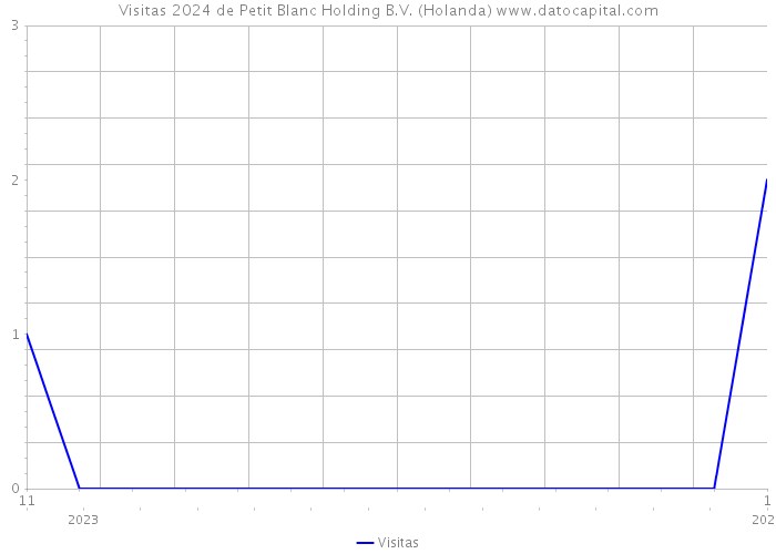 Visitas 2024 de Petit Blanc Holding B.V. (Holanda) 