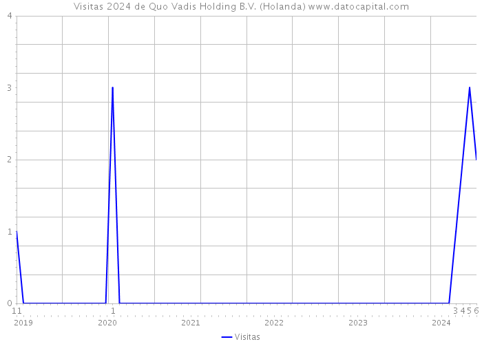 Visitas 2024 de Quo Vadis Holding B.V. (Holanda) 