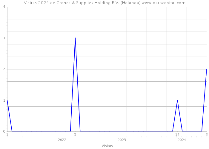 Visitas 2024 de Cranes & Supplies Holding B.V. (Holanda) 