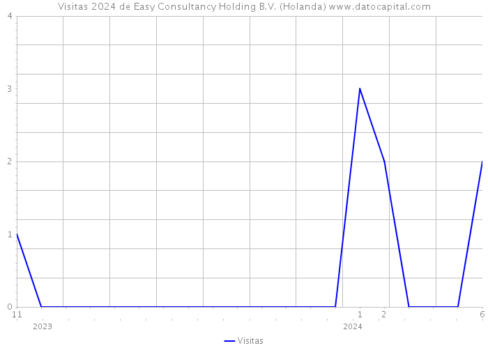 Visitas 2024 de Easy Consultancy Holding B.V. (Holanda) 