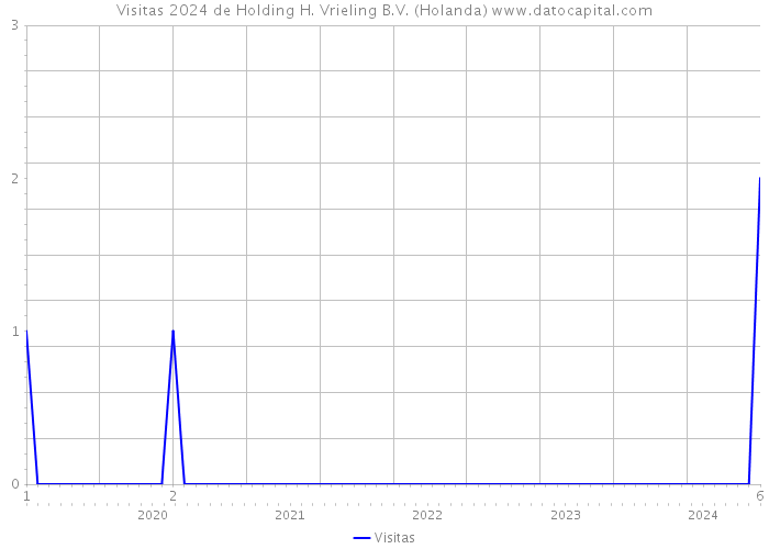 Visitas 2024 de Holding H. Vrieling B.V. (Holanda) 