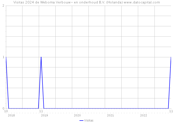 Visitas 2024 de Weboma Verbouw- en onderhoud B.V. (Holanda) 
