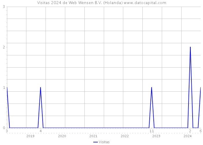 Visitas 2024 de Web Wensen B.V. (Holanda) 