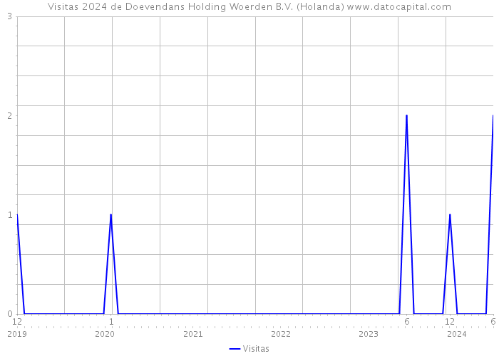 Visitas 2024 de Doevendans Holding Woerden B.V. (Holanda) 