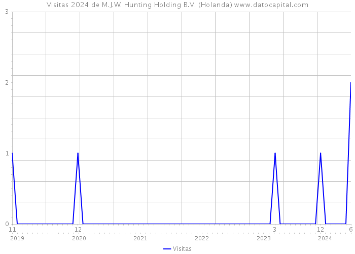 Visitas 2024 de M.J.W. Hunting Holding B.V. (Holanda) 
