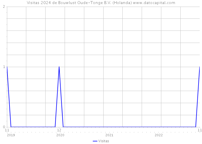 Visitas 2024 de Bouwlust Oude-Tonge B.V. (Holanda) 