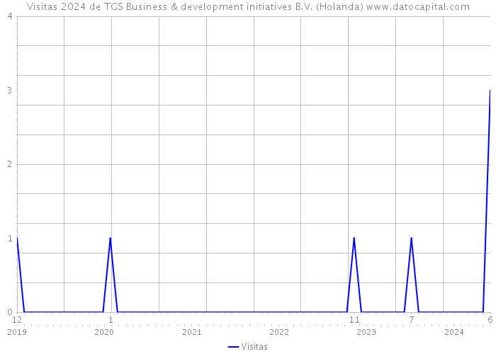 Visitas 2024 de TGS Business & development initiatives B.V. (Holanda) 
