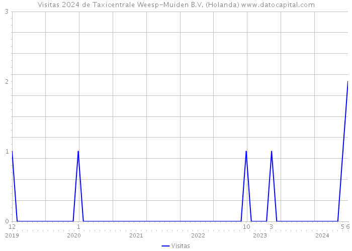 Visitas 2024 de Taxicentrale Weesp-Muiden B.V. (Holanda) 